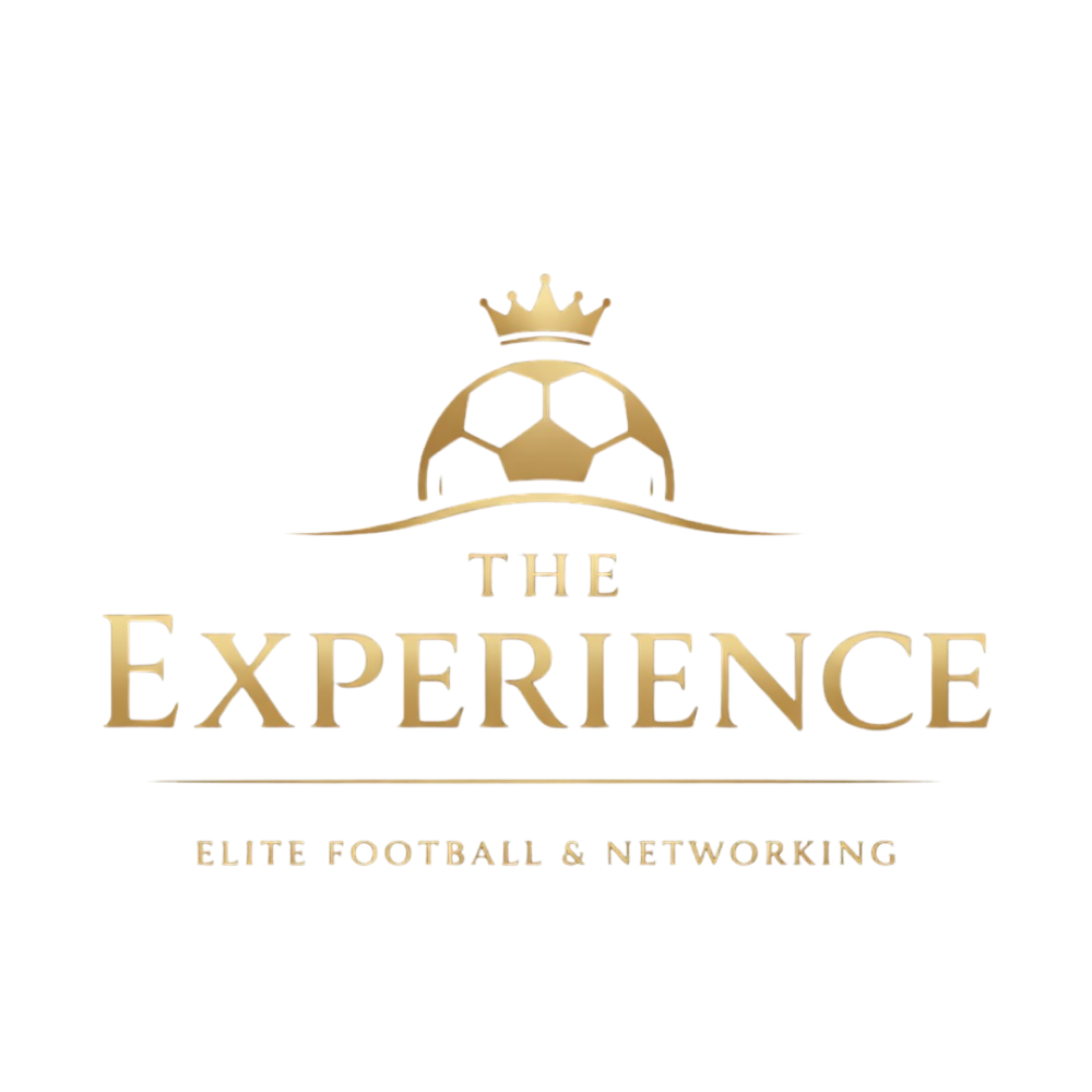 THE EXPERIENCE Logo